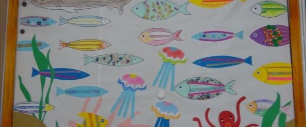 水族館、展示中！