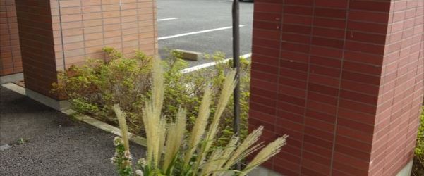 ☆青空喫茶☆　開店！　～ｖｏｌ.2～