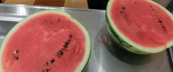 暑中お見舞い申し上げます