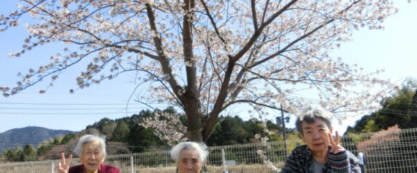 ユニット型特養　桜花見