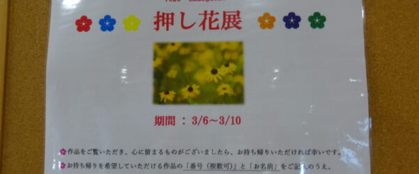 押し花展