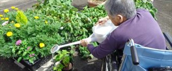 そろそろ梅雨が明けそうですね