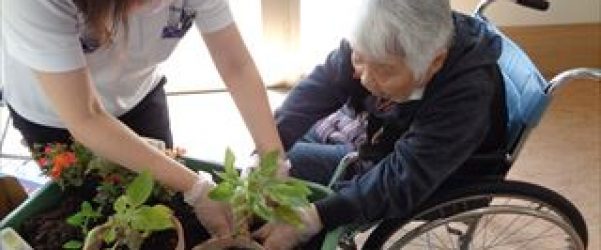 おうち時間の夏でした