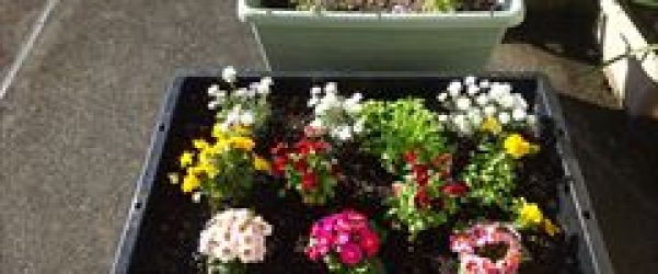 庭も年末の片付けです😀