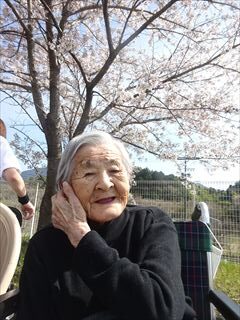 春風にまぎれて、思い出がふわり　　　　　　　　　ｻｸ(ง ˙ω˙)ว♪♪ﾗｯ