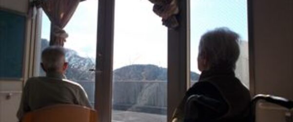 🌷春の訪れ😃